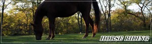 horse-riding